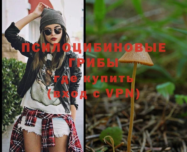 марки nbome Алзамай