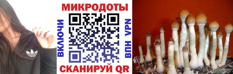 Галлюциногенные грибы Psilocybe  KRAKEN   дарк нет какой сайт  хочу наркоту  Наволоки 
