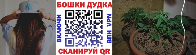 Канабис конопля Наволоки
